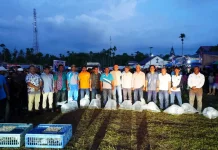 Bupati Taput Salurkan Ribuan Benih Ikan dan Ayam Buras di Garoga