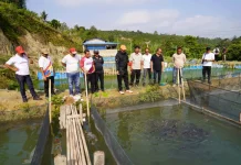 Bupati Taput Tinjau Budidaya Lele di Garoga, Komit Dorong Potensi Ekonomi Lokal