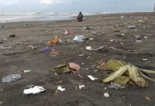 Menjaga Pantai Sibolga dari Sampah dan Limbah