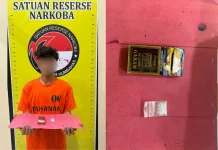 Lewat Penyamaran, Pengedar Sabu di Lintong Nihuta Diringkus Polisi