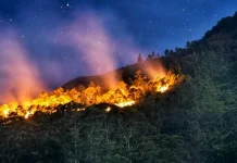 Kemarau Panjang, Waspada Kebakaran Hutan dan Lahan