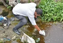 Pemko Padangsidimpuan Investigasi Kematian Ikan di Sungai Batang Ayumi