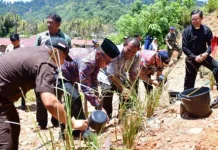 Pemkab Tapteng Gelar Aksi Penghijauan di Momen Hari Jadi ke-81 Tapteng