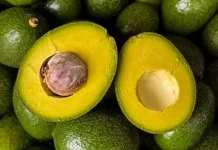 Alpukat Kaya Lemak Sehat, Jaga Kesehatan Jantung