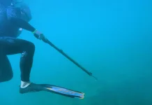 Sensasi Menyelam dan Menembak Ikan
