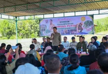 Petani Humbahas Diminta Serius Kembangkan Budidaya Bawang Putih
