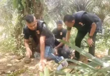Viral usai Emak-Emak Labrak Lapak Narkoba, Polisi Gerebek dan Tangkap Satu Pelaku