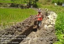 Pastikan Irigasi Berfungsi, Pertanian Tapanuli Utara Terus Diperkuat