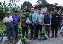 Bupati Tapsel Turun ke Desa, Serap Aspirasi Warga dan Dorong Pengembangan Kopi