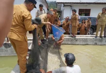 Tinjau BBI Purbatua, Pemkab Taput Dorong Inovasi Budidaya Ikan Air Tawar
