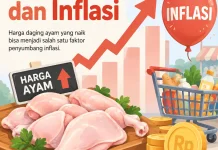 Inflasi Sibolga Bulan Agustus Didorong Kenaikan Harga Daging Ayam
