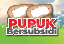 Petani Tapteng Keluhkan Sulitnya Mendapat Pupuk Bersubsidi