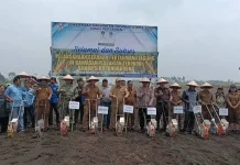 Pemkab Taput Jadikan Sijaba Model Pertanian Terpadu