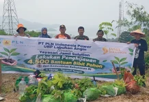 Yayasan Jamil Solution dan PPM Tanam Bibit Pohon di Sibolga dan Tapteng