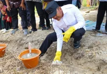 Bupati Madina Sebut PAUD dan TK Merupakan Fondasi Utama Pendidikan