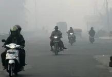 Kabut Asap Karhutla di Sibolga Perlu Diwaspadai