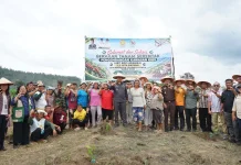 Pemkab Taput Gerakkan Penanaman 2,2 Juta Batang Kopi Arabika