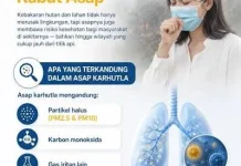 Bahaya Kabut Asap Terhadap Kesehatan Sistem Pernapasan