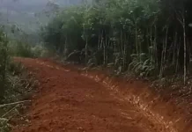 Jalan Tani Enam Kilometer Tarabintang Capai Progres 50 Persen