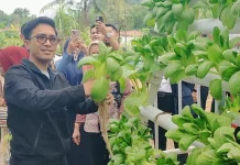 Apresiasi Program Lapas, Andika Komitmen Dorong Hidroponik Jadi Percontohan