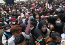 Anak Muda Menciptakan Lapangan Kerja Sendiri atau Mencari Pekerjaan