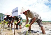 Bupati Taput Tinjau Infrastruktur, Sekolah hingga Panen Ikan di Purbatua
