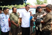 Bupati Tapsel Buka Vaksinasi Rabies Massal, Targetkan Tapsel Bebas Rabies 2029