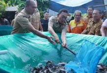 Pokdakan Panindoan Tapsel Panen 450 Kilogram Ikan Lele