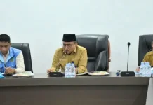 Pemko Padangsidimpuan Usulkan Dua Kawasan Kampung Kreatif