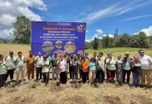 Kolaborasi Lintas Sektor Perkuat Budidaya Kopi Arabika Tapanuli Utara