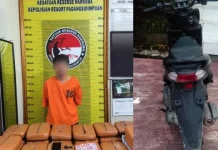 Bawa 20 Kg Ganja Pria Asal Tapsel Ditangkap Polisi