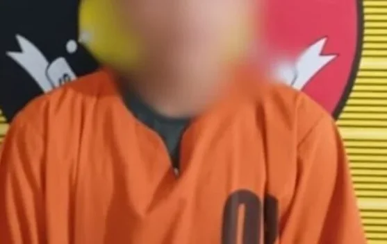 Curi Mobil di Sidimpuan Diciduk di Medan