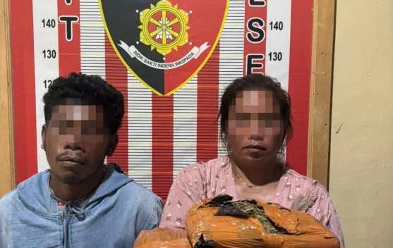 Polsek Barus Tangkap Kurir Ganja Antar Daerah