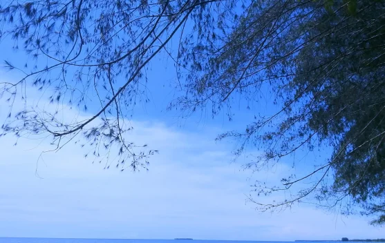 Kenyamanan di Tempat Wisata