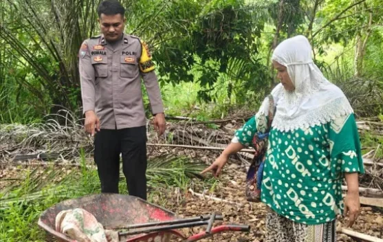 Pergoki Pencuri Sawit, Pedagang di Pinangsori Terluka Diserang Menggunakan Dodos