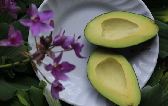 Ingin Diet Berhasil, Coba Konsumsi Alpukat