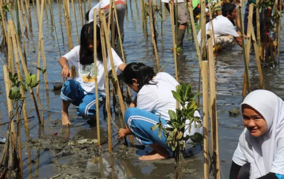 Aksi Muda Penjaga Pantai Tanam Mangrove Sibolga