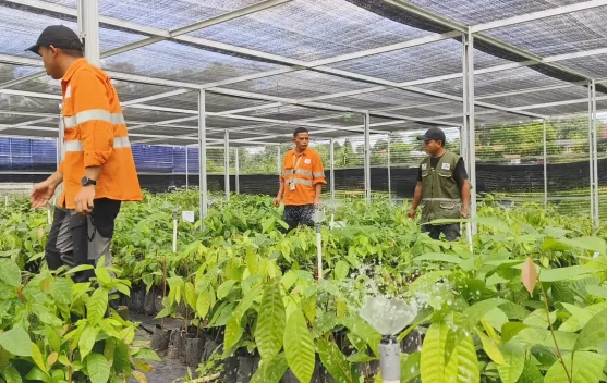PTAR Kembangkan Program Martabe Cocoa di Tapsel