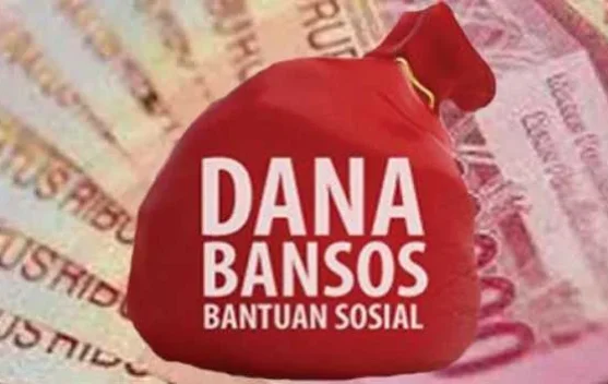 Peran Pemerintah Desa Tenentukan Penyaluran Bantuan Tepat Sasaran