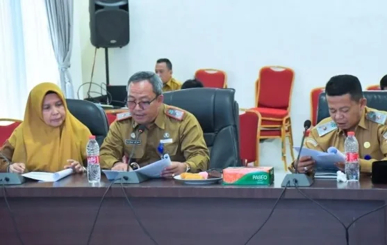 Sekdakot: Pemkot Padangsidimpuan Siapkan Strategis Targetkan Capaian UHC
