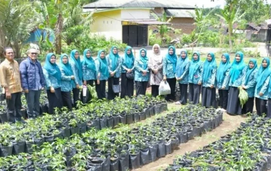 TP PKK Padangsidimpuan Matangkan Huta Padang Hadapi Evaluasi PKK Sumut