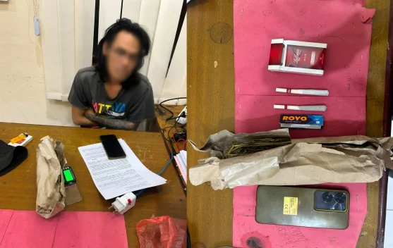 Satresnarkoba Polres Humbahas Tangkap Pengedar Ganja Asal Dairi