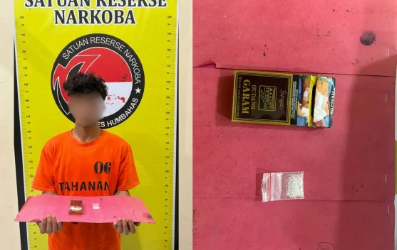 Lewat Penyamaran, Pengedar Sabu di Lintong Nihuta Diringkus Polisi