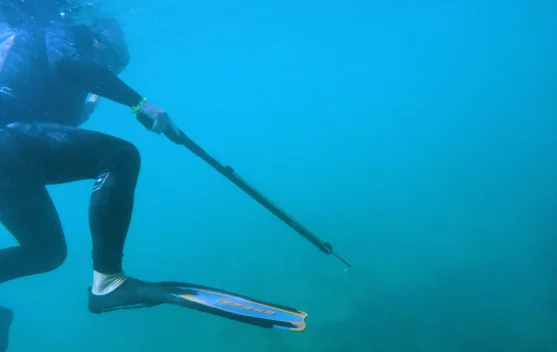 Sensasi Menyelam dan Menembak Ikan