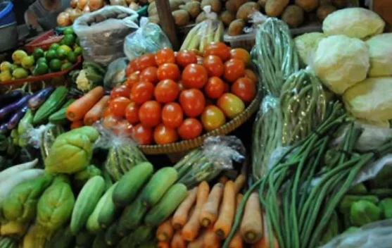 Erupsi Sinabung Ancam Harga dan Pasokan Sayur Maupun Buah
