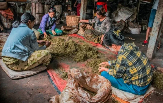 UMKM Desa jadi Penggerak Ekonomi dan Kemandirian Warga