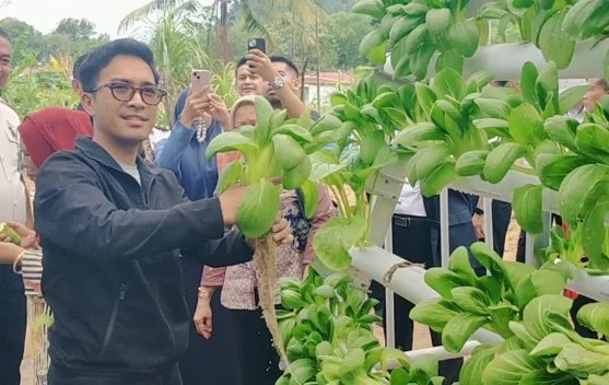 Apresiasi Program Lapas, Andika Komitmen Dorong Hidroponik Jadi Percontohan