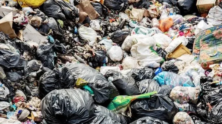 Hari Peduli Sampah Nasional, Peringatan 21 Februari
