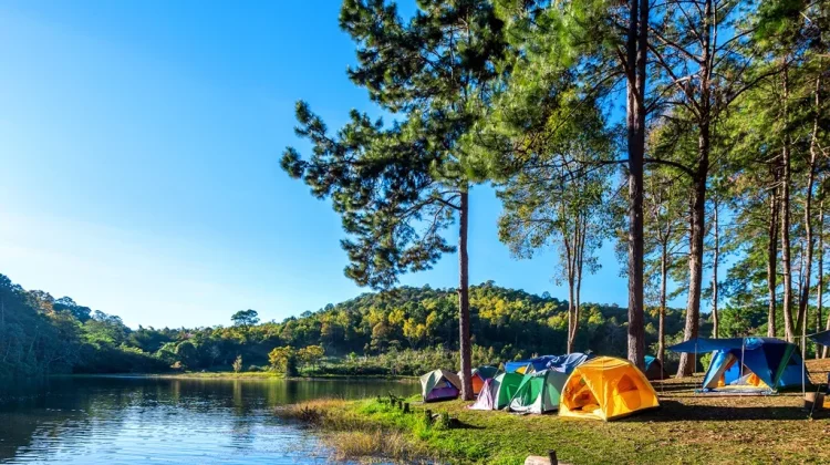 Camping, Pilihan Liburan Efisien untuk Kesehatan Mental