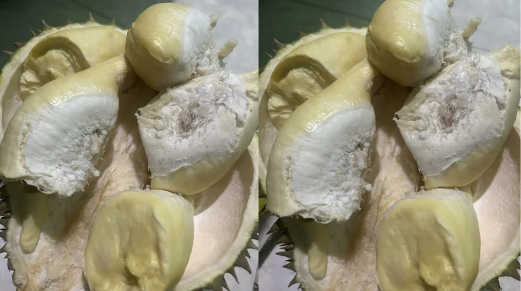 Ini Loh Manfaat Durian untuk Kesehatan